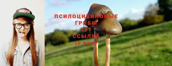 mdpv Приозерск