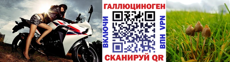 Псилоцибиновые грибы Psilocybine cubensis  сколько стоит  Усть-Кут 