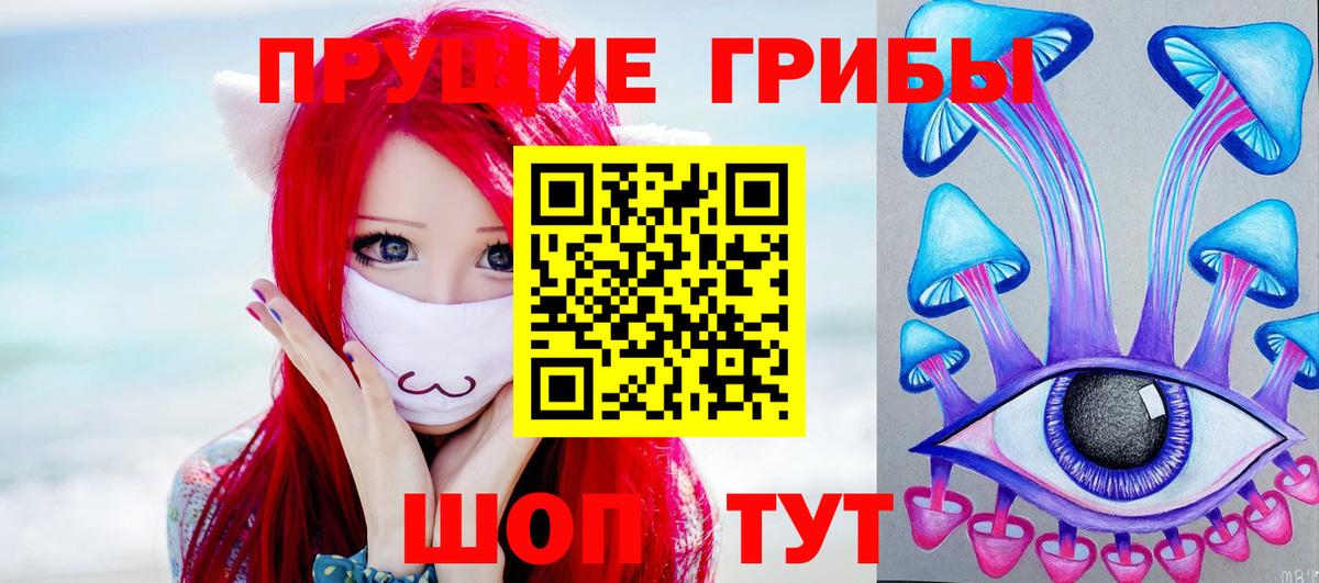 Псилоцибиновые грибы Psilocybine cubensis Усть-Кут