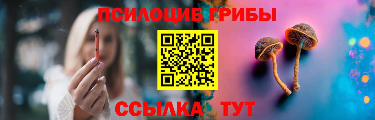 Галлюциногенные грибы мухоморы  купить наркотик  Усть-Кут  Вход с VPN 